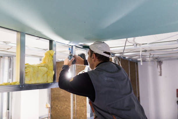 Best Residential Insulation in Reno, TX