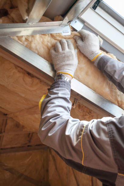 Best Blown-in Insulation in Reno, TX