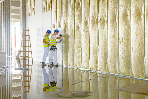Best Geographic-Specific Insulation Services in Reno, TX